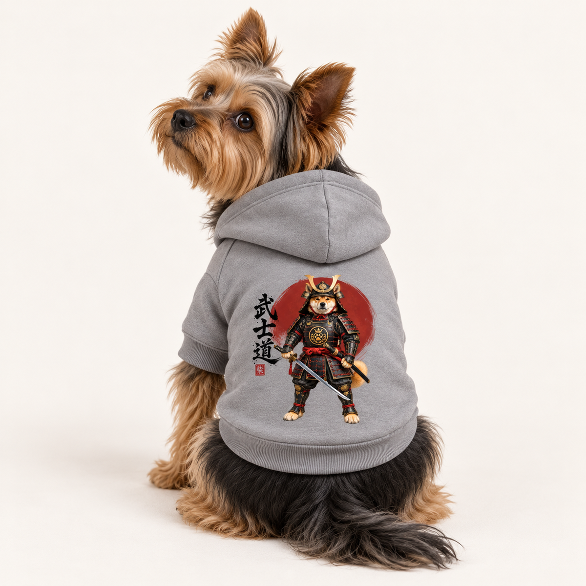 A small dog wearing a gray hoodie with a colorful samurai graphic on the back, photographed against a white studio background.