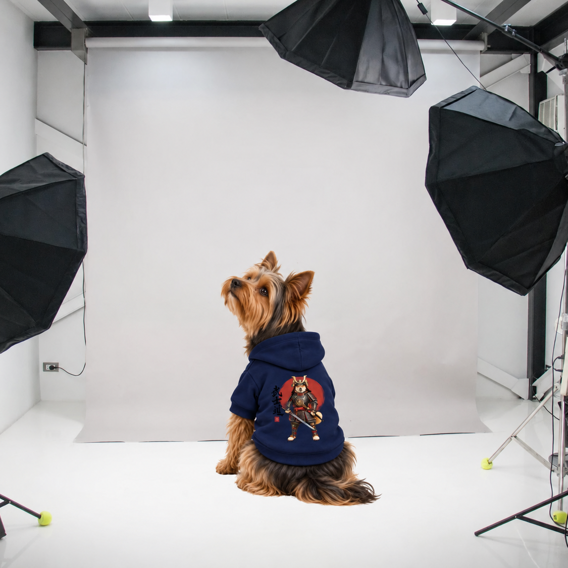 A Yorkie sits on a white studio backdrop wearing a navy blue hoodie with a red and Samurai graphic on the back. The photo setup around a studio sweep.