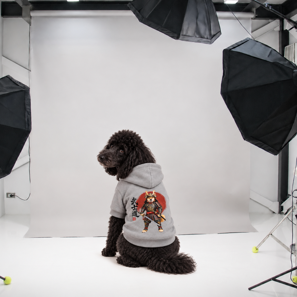 A dog wearing a gray hoodie with a samurai graphic, sitting in a white studio setup with softbox lights.