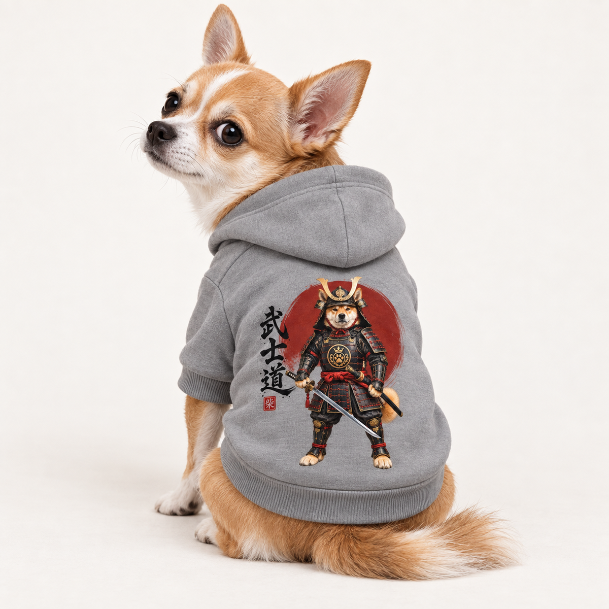 A small tan and white dog wearing a gray pet hoodie with a samurai graphic on the back, photographed against a clean white studio background.